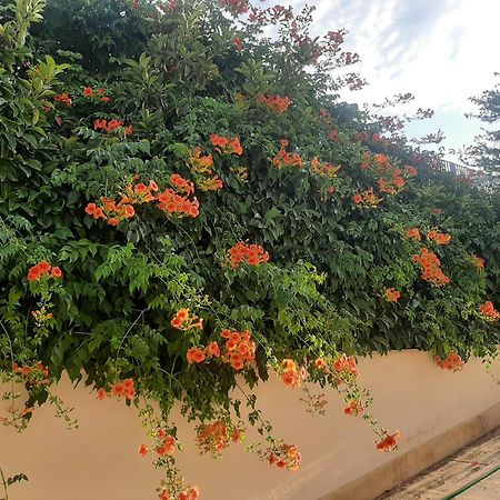 The Orange Groove Bed & Breakfast Bari Exterior foto