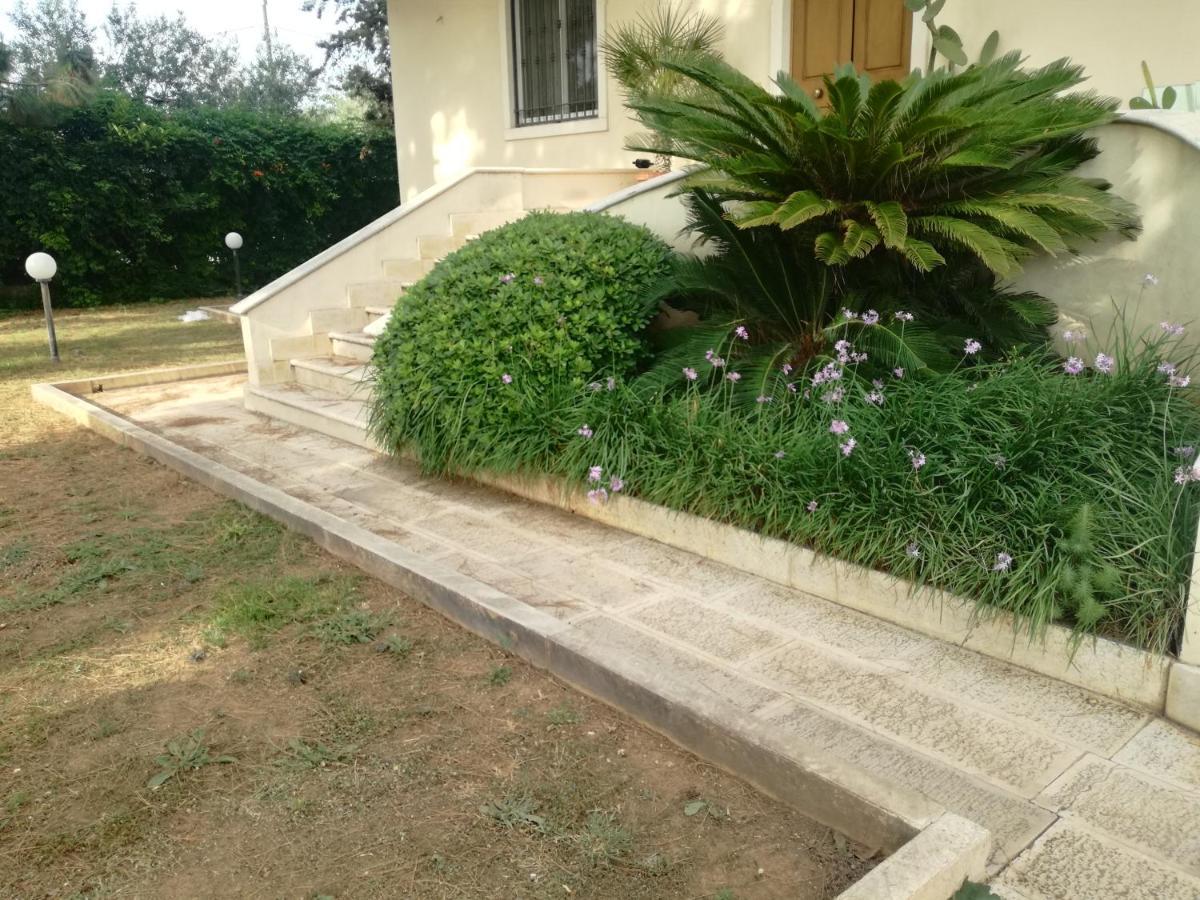 The Orange Groove Bed & Breakfast Bari Exterior foto