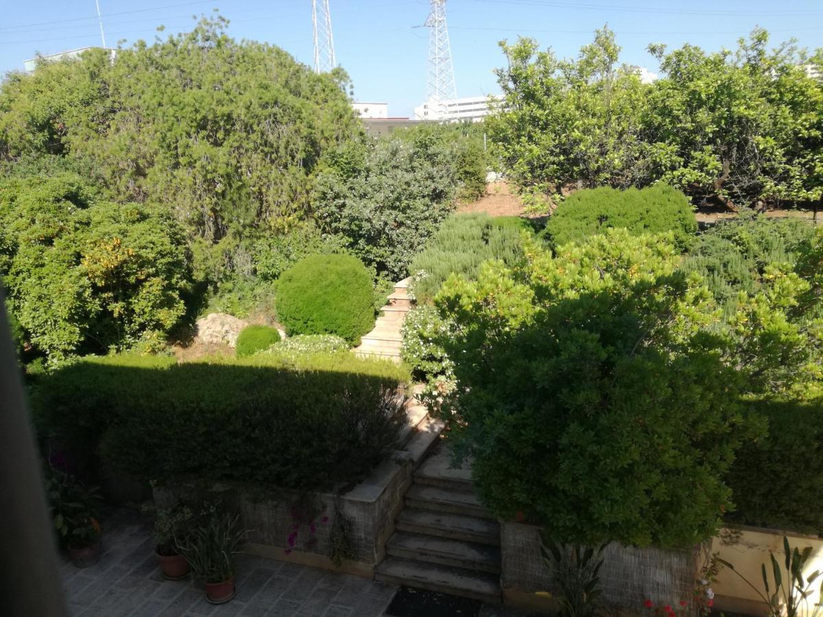 The Orange Groove Bed & Breakfast Bari Exterior foto