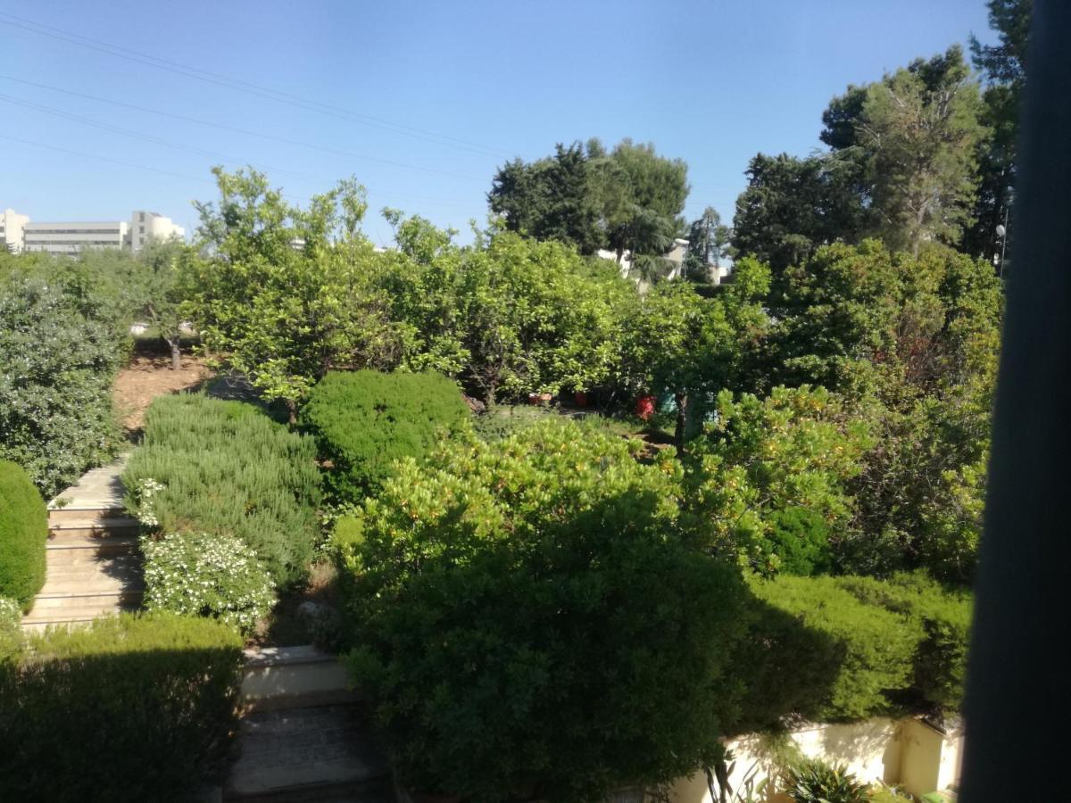 The Orange Groove Bed & Breakfast Bari Exterior foto