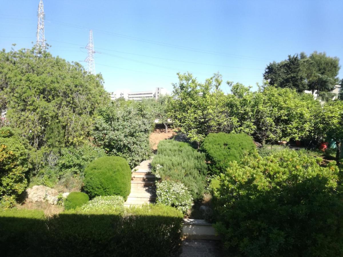 The Orange Groove Bed & Breakfast Bari Exterior foto
