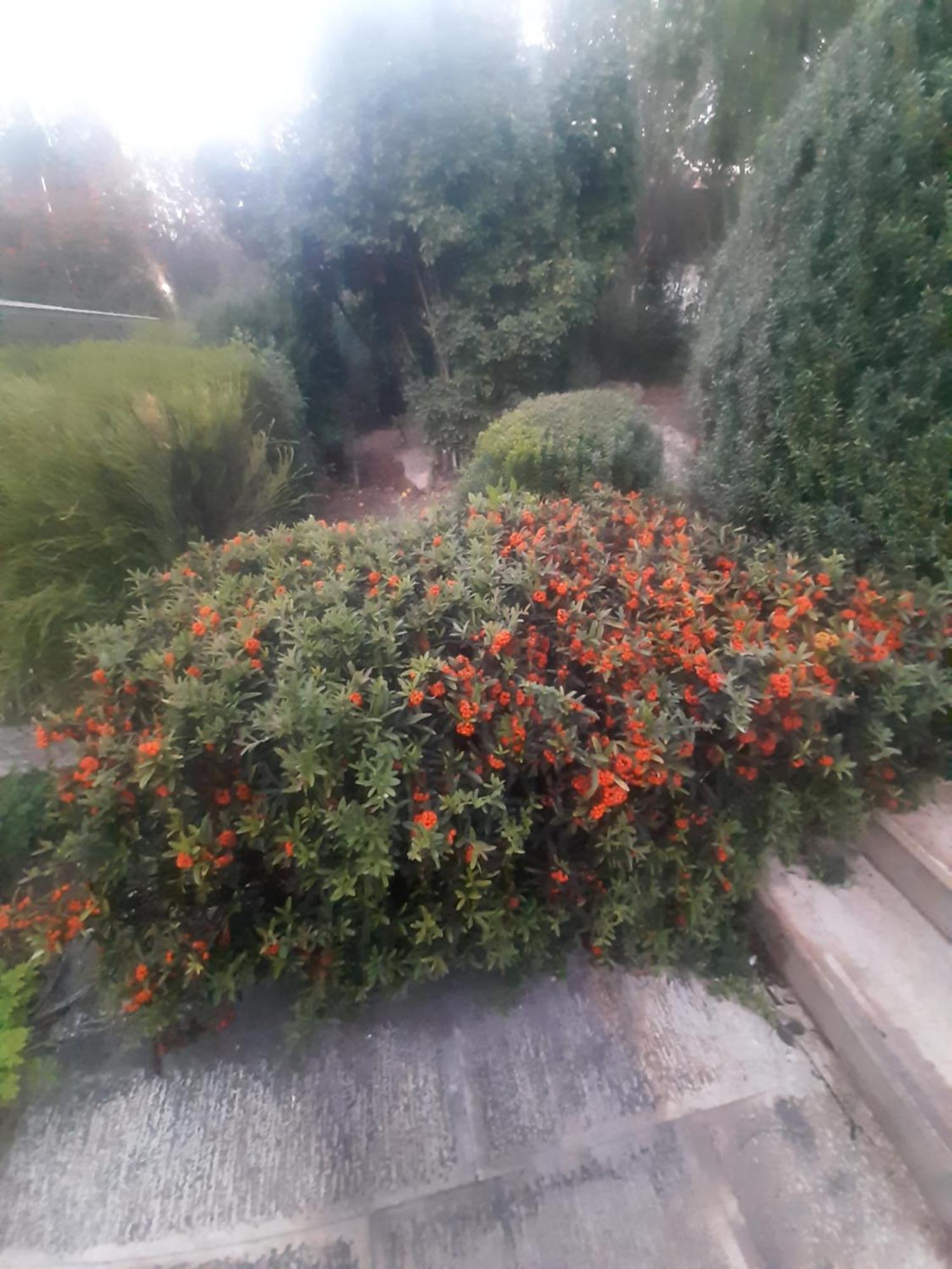 The Orange Groove Bed & Breakfast Bari Exterior foto
